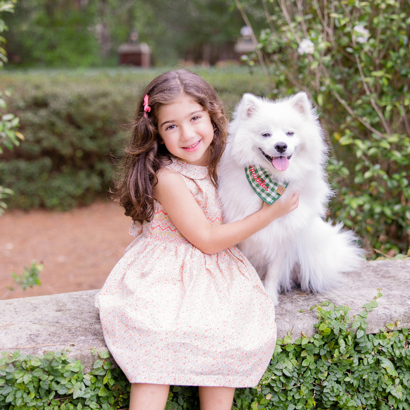 Sprinkles story image